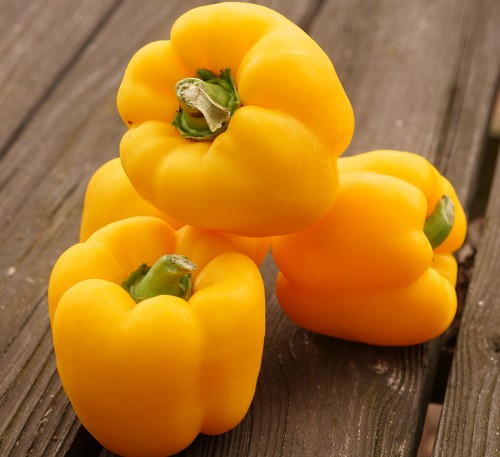 Bell Pepper Asti Gold 